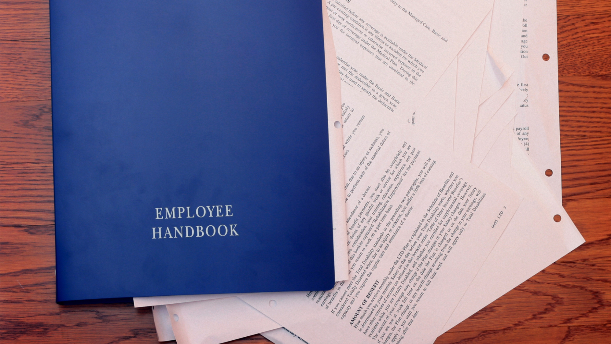 Hiring Your First Employee in Texas? Set These Up First | HRA